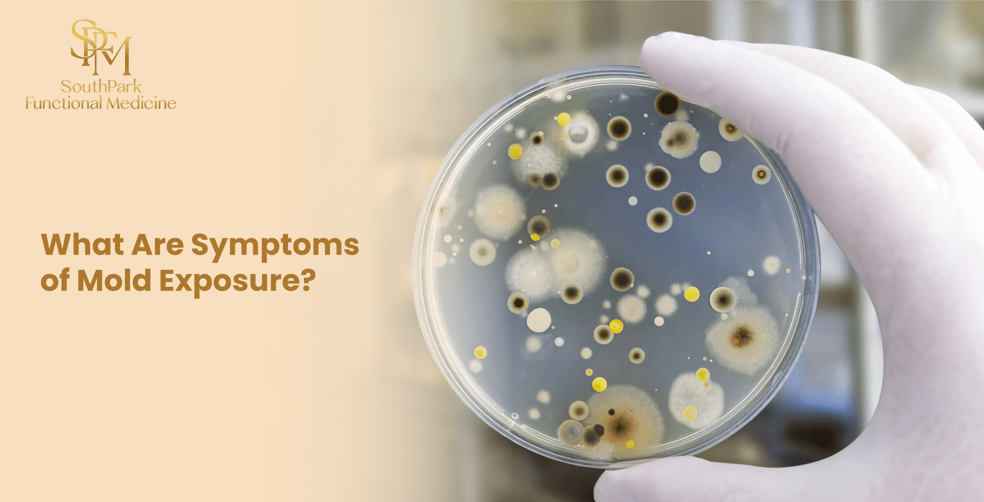 What Are Symptoms of Mold Exposure?
